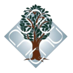 Dr. B.R. Ambedkar University Logo